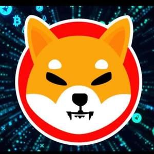 Meet your Posher, Teo